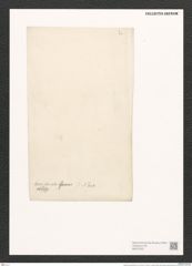 Nitzschia brevistriata Grun. (de-Toni-Nr.: Genus 47, Species 2087) Zeichnungen Sammlung Grunow (NHMW-BOT-W0372027)